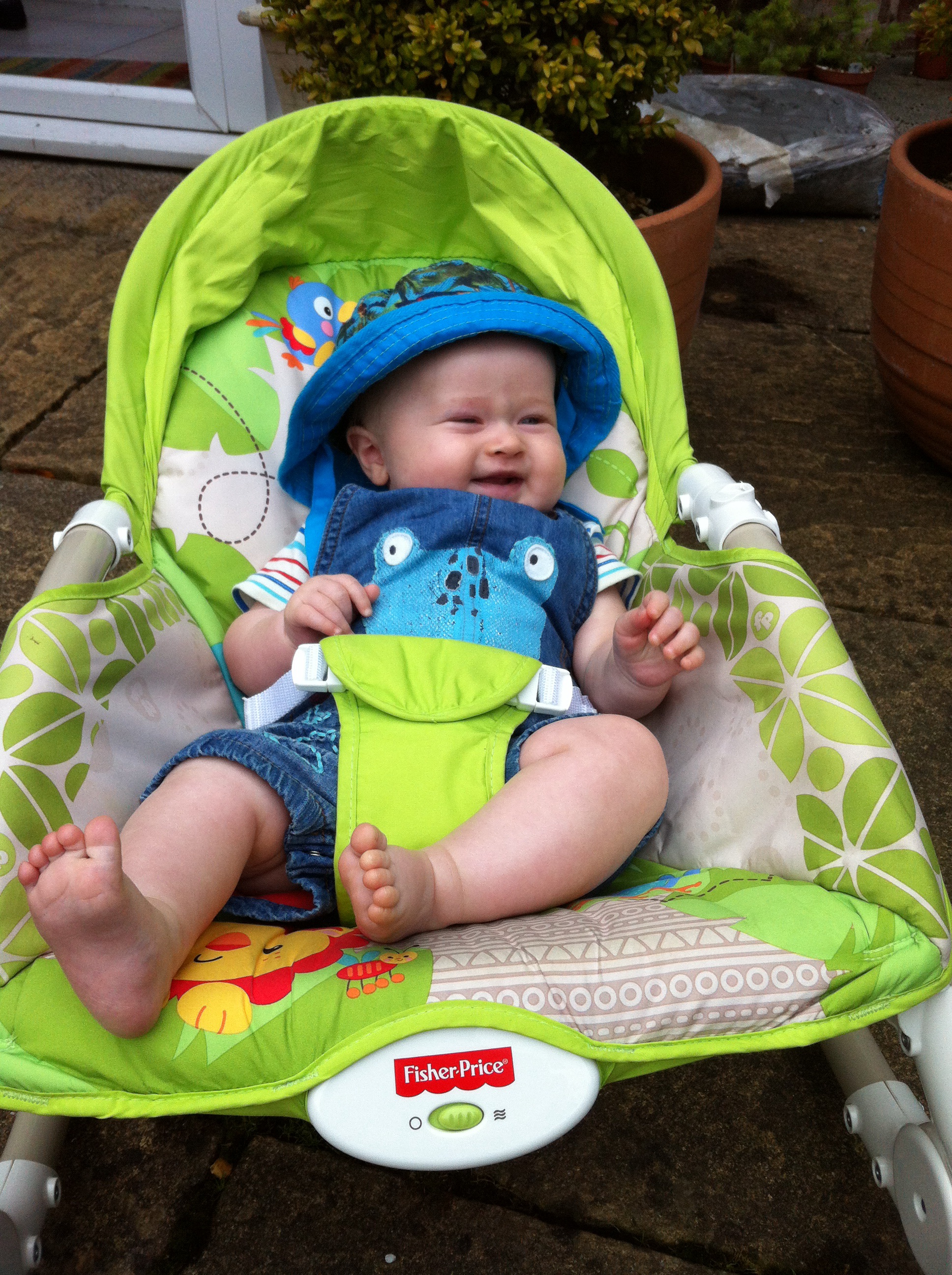 Fisher-Price newborn to toddler rocker review