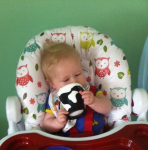 Lucas sat in a highchair drinking from the cow patterned haberman anywayup cup