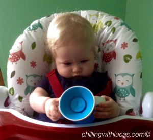 lucas looking at the blue munchkin cup