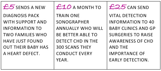 image showing what donations go to for congenital heart defects