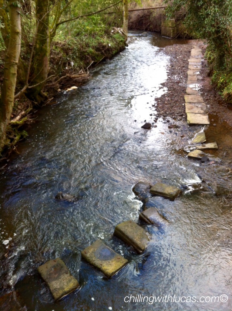 River stepping stones