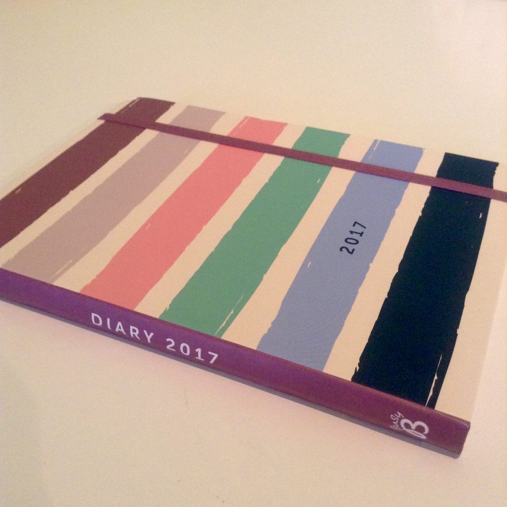 Busy B Diary Review