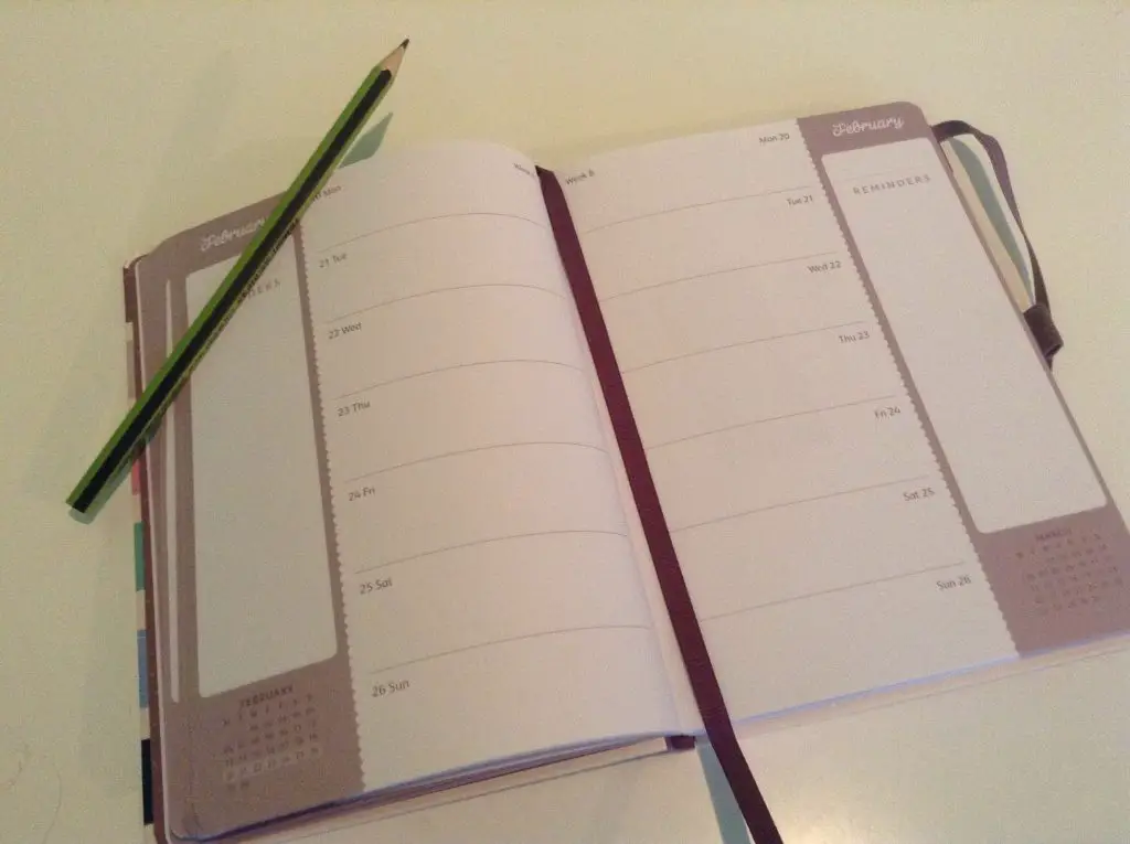 Busy B Diary Review