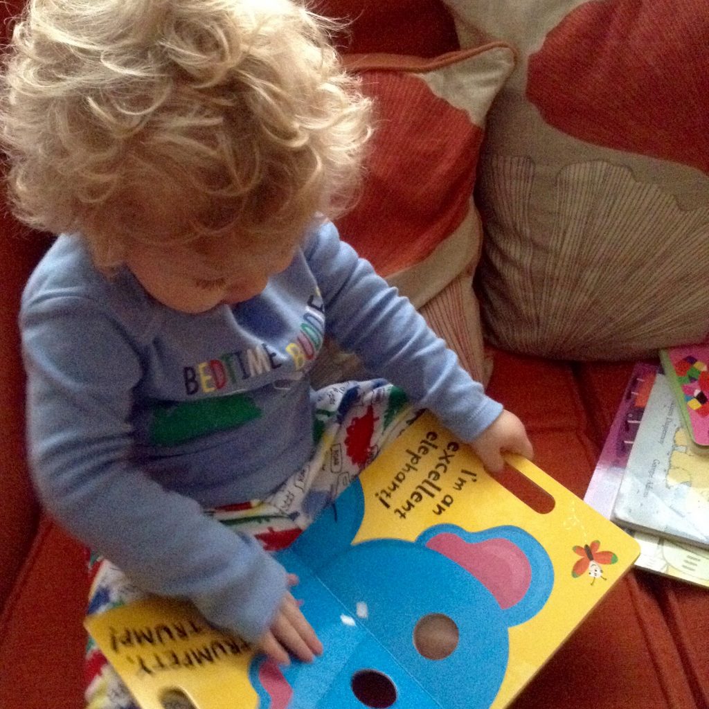 Wilf book subscription review and giveaway