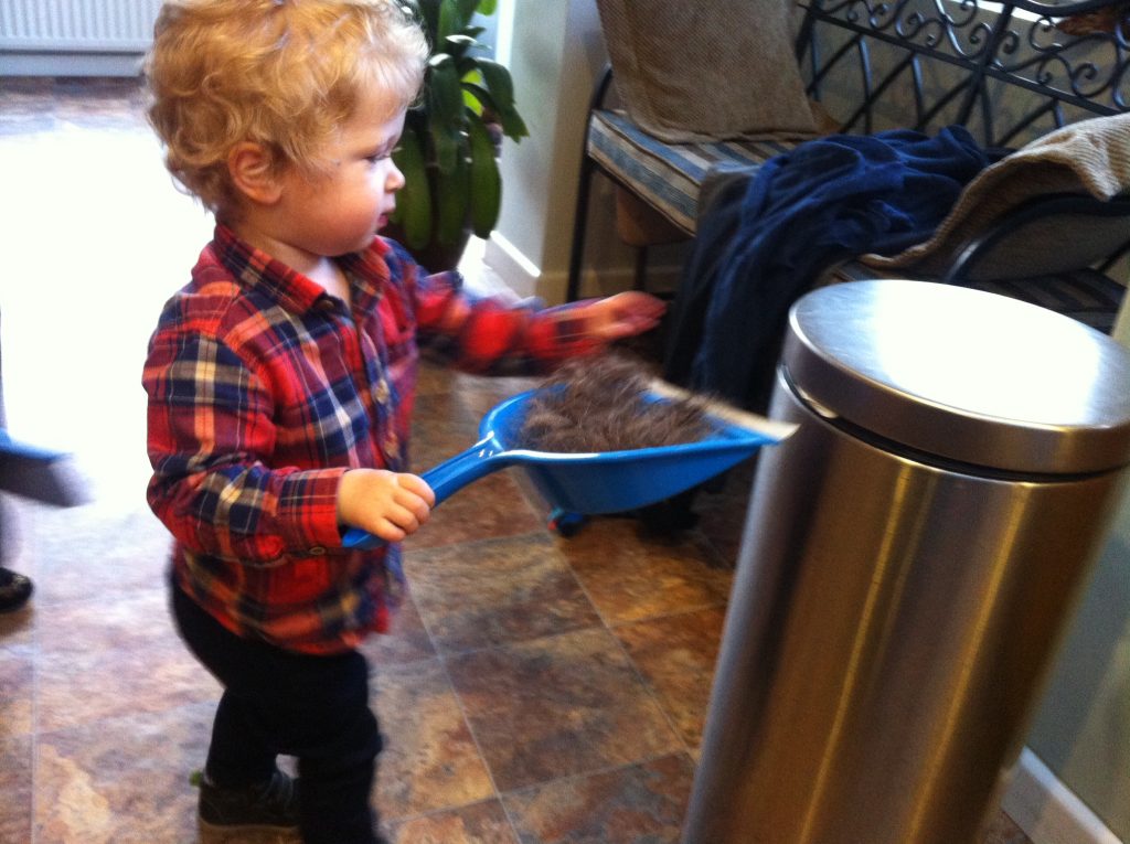Lucas standing wearing a red and blue checked shirt and navy trousers, blonde wavy hair, carrying a blue dustpan full of hair to the silver bin