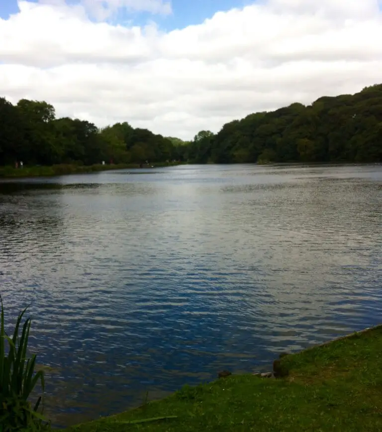 Yarrow valley country park review 