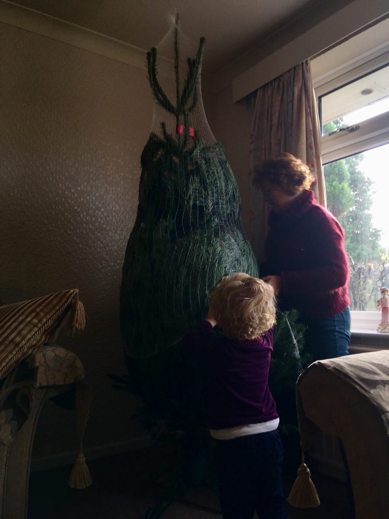 decorating the Christmas tree