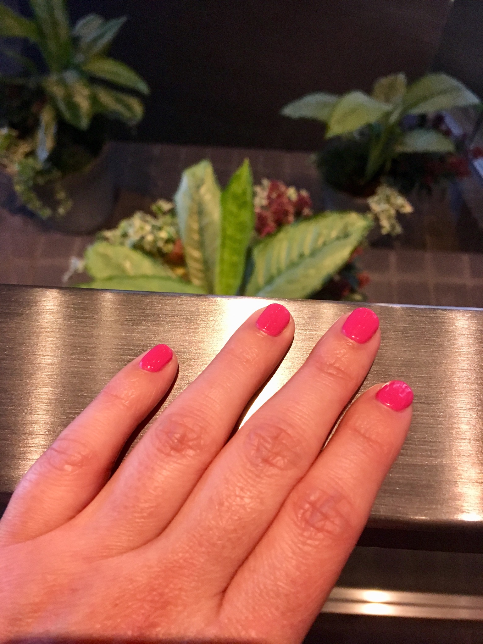 Bio Sculpture my hand on a