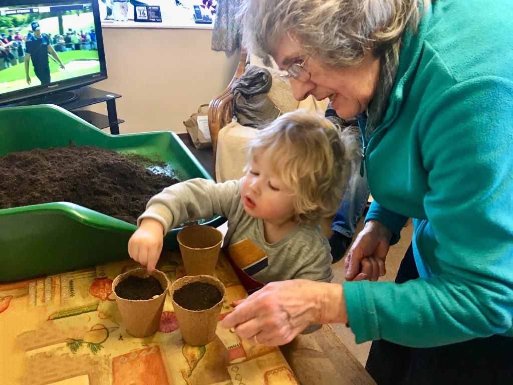 Planting sunflower seeds. Lucas is sat at a table placing sunflower seeds into small cardboard pots of soil with Great Grandma