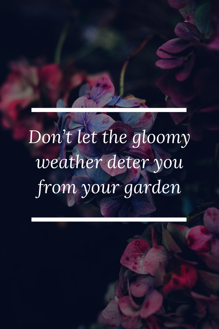 Don’t let the gloomy weather deter you from your garden