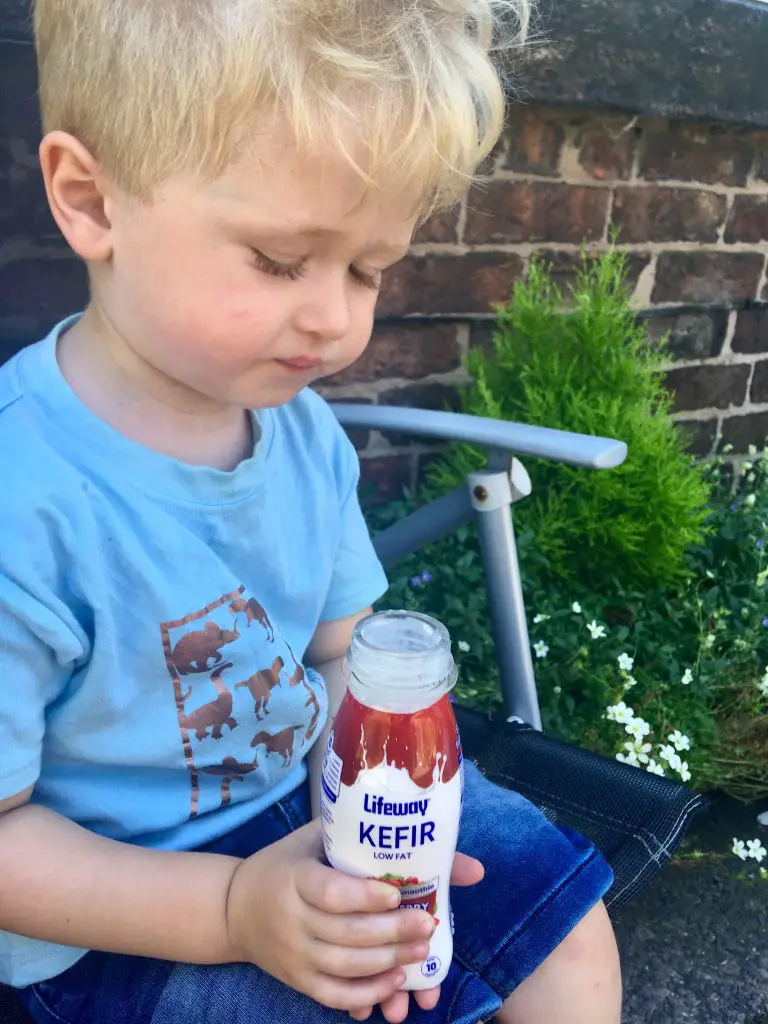 Lifeway Kefire review. Lucas sat wearing a blue Tshirt holding a bottle of strawberry kefir. The bottle is red and white 