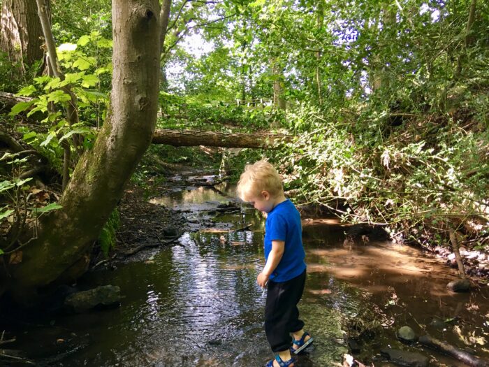 Lucas is paddling in the stream, he is looking down at the water and behind him you can see trees and sun light streaming through