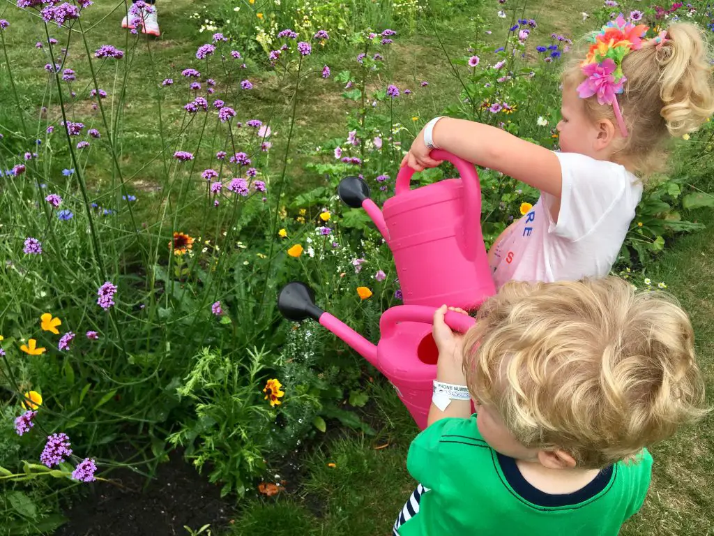 CBBC Summer Social review Lucas and S watering wild flowerd 