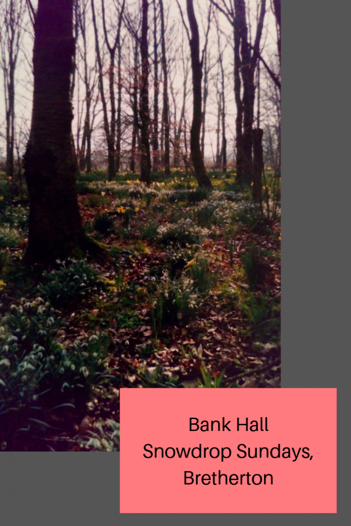 Bank Hall garden Bretherton #lancashire 