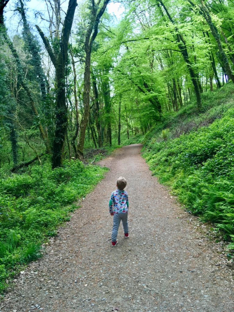 Lucas walking on a path with trees lined both sides