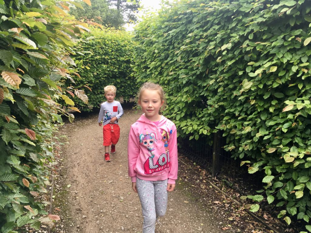 Lucas and his friend walking through a hedged maze
