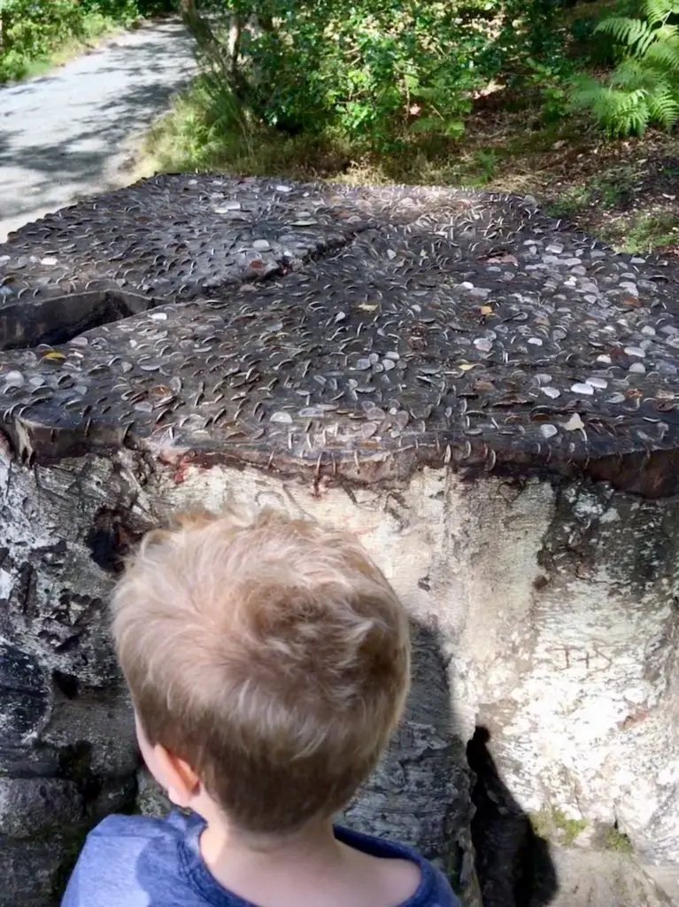 Lucas next to a tree trunk of coins