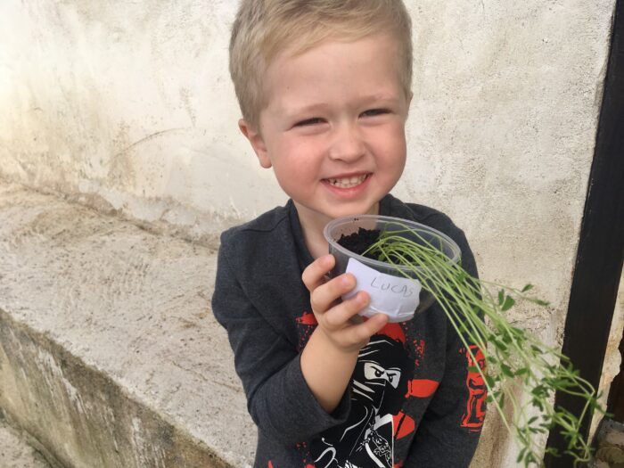 Lucas holding a plant up that he grew at school