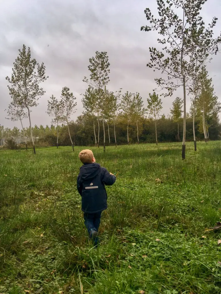 Lucas walking through a field looking up into the trees 