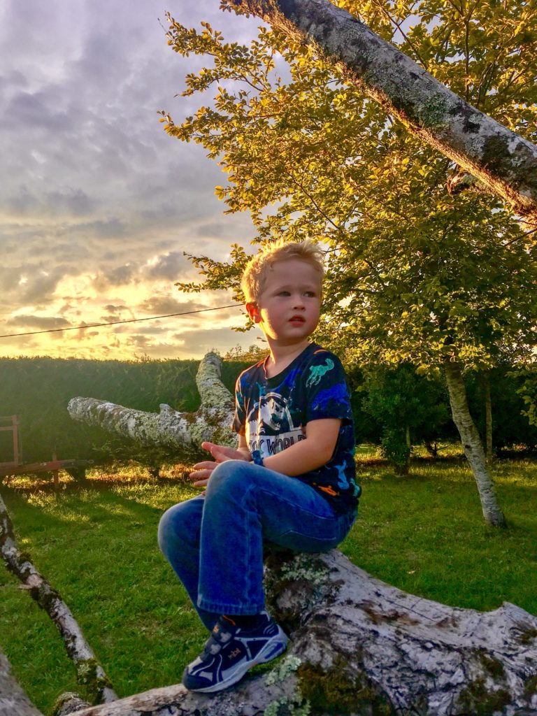 Lucas sat on a tree branch 