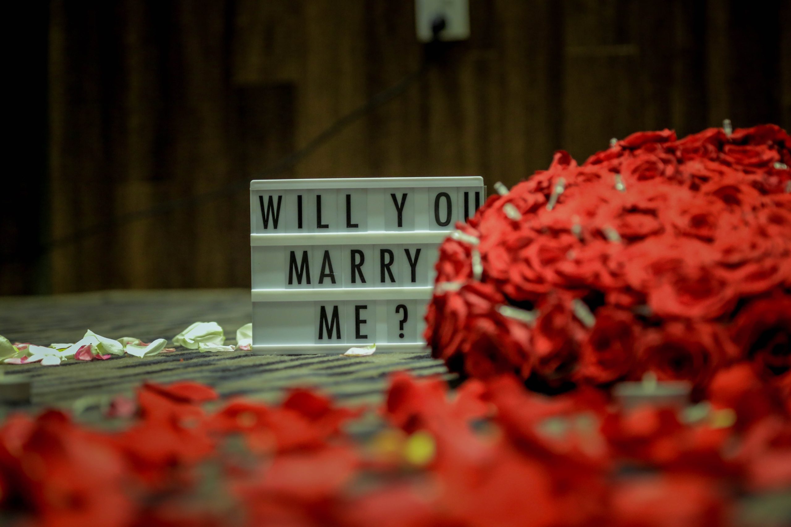 will you marry me on a lightbox with rose petals on the floor