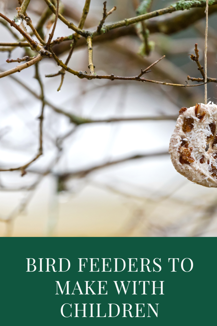 Bird feeders to make with children