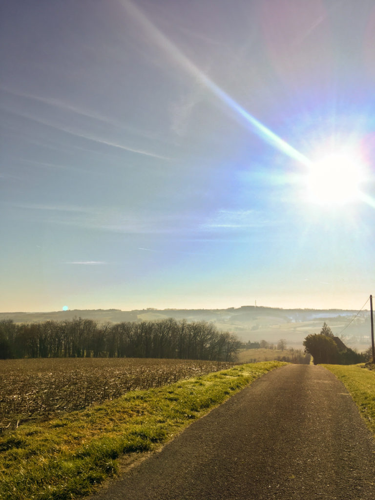 A road going downhill, surrounded by fields and the sun is high in the sky