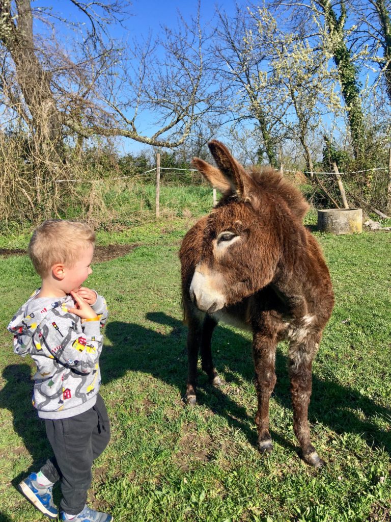 Lucas stood next to a donkey 