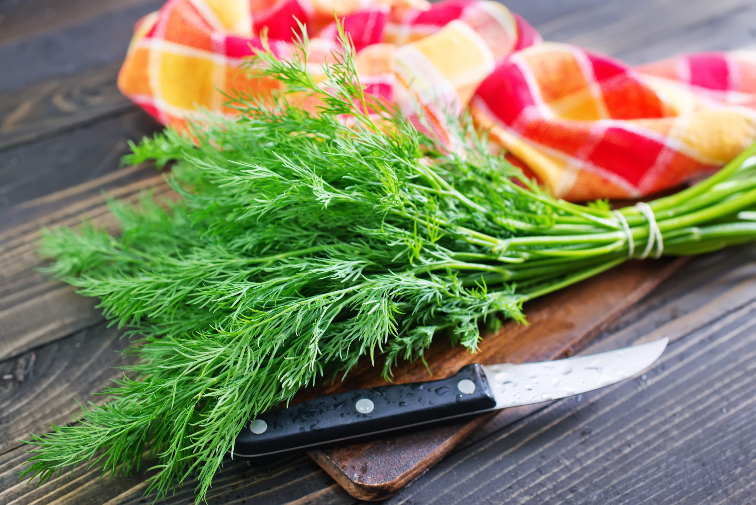 fresh dill and a knive on w ooden chopping board and pink/orange napkin