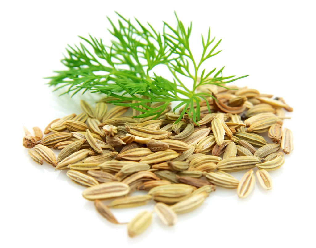 Seeds and a fennel branch on a white background