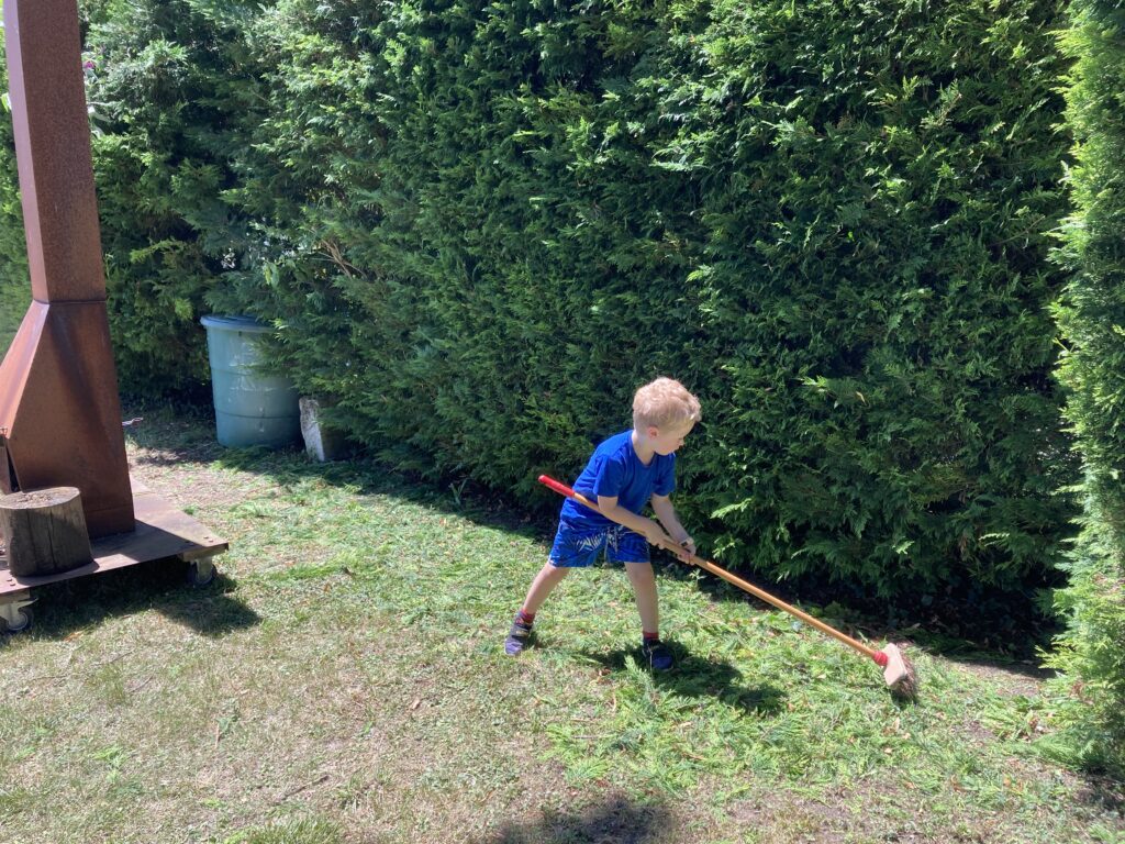 Lucas brushing up the leaves that have been cut off the tree 