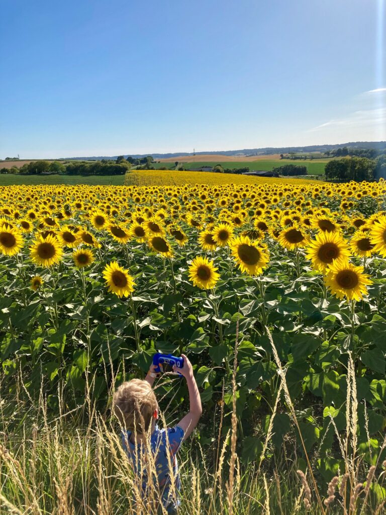 Lucas taking photos of the sunflowers field with his blue vetch kidizoom camera