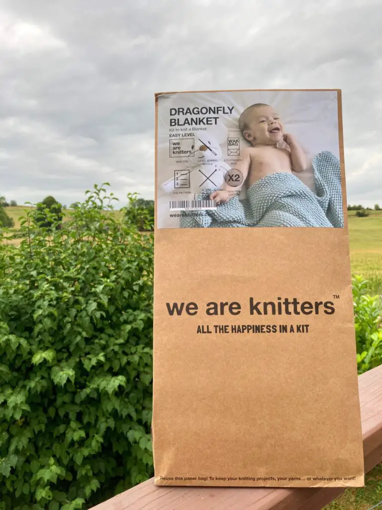 We are knitters dragonfly blanket kit in a brown paper bag 