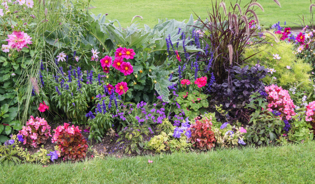 bright, decorative flower beds gardens