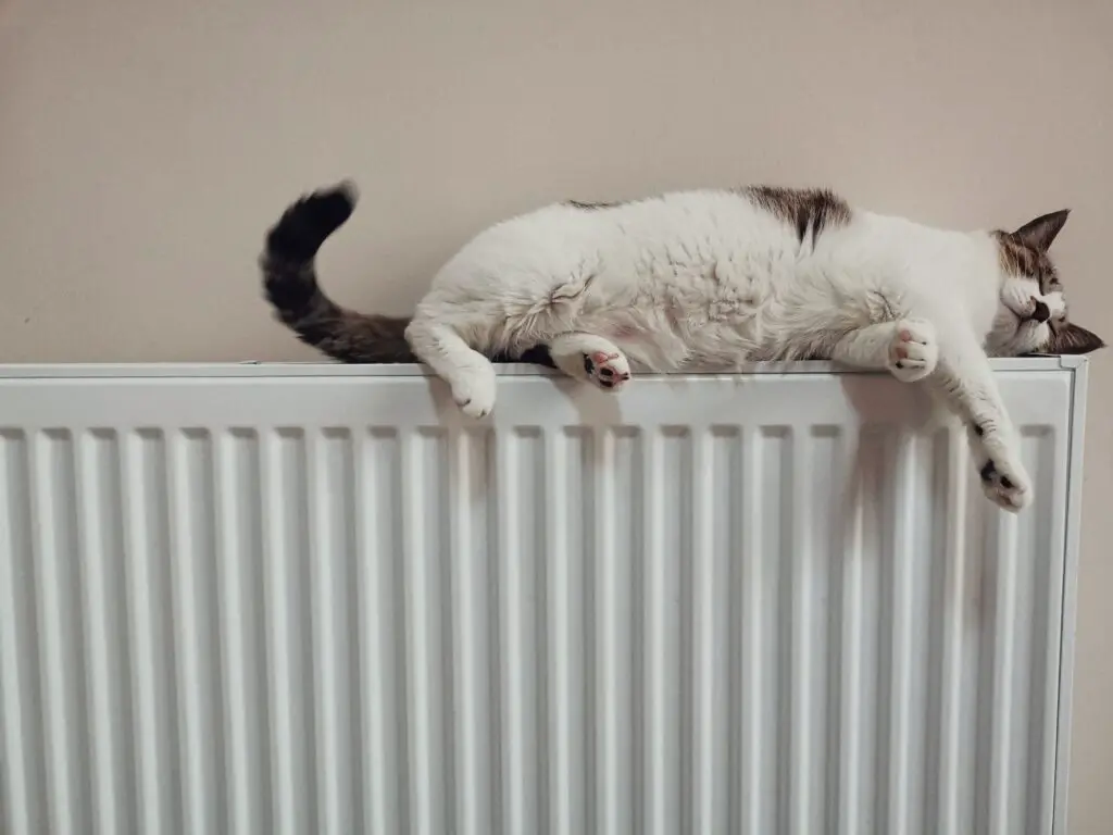 cat sleeping on top of a white radiator