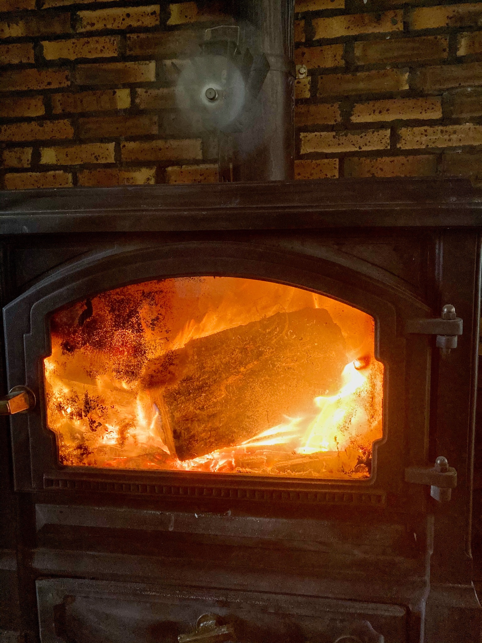 Wood burner fire