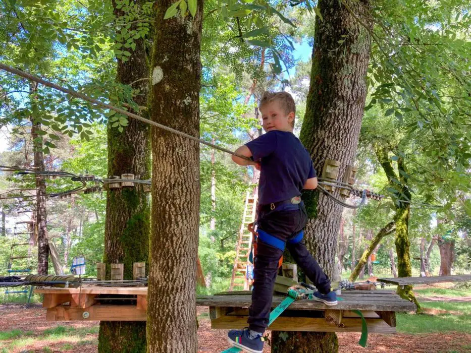 Lucas tree climbing 