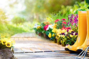 a garden showing decking path with plants to either side and yellow wellington boots