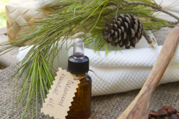 cedarwood oil in a glass jar with pine cones and greenery behind