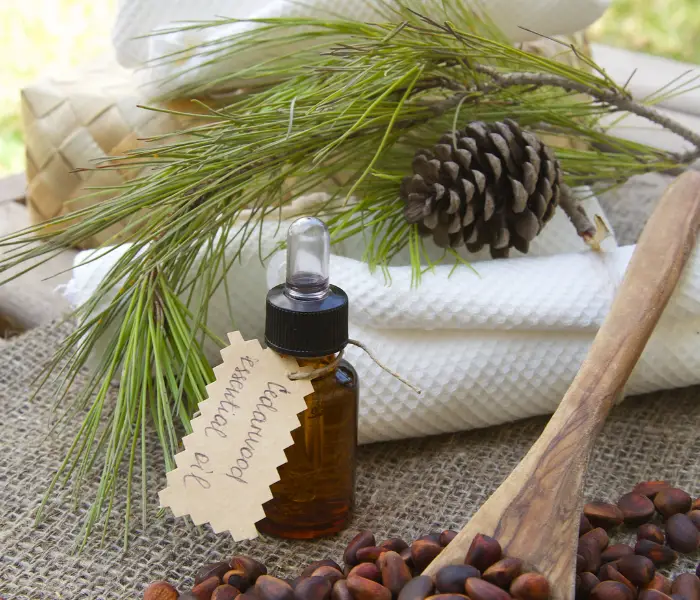 cedarwood oil in a glass jar with pine cones and greenery behind