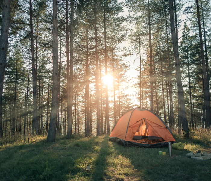 a tent in woodland