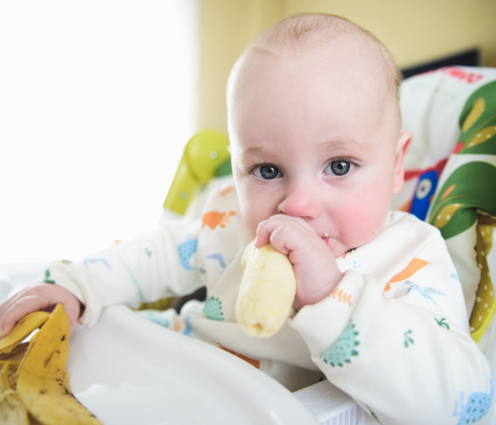 baby eating a banana. baby-led weaning