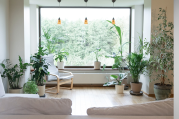 sustainable-home