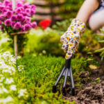 garden plants