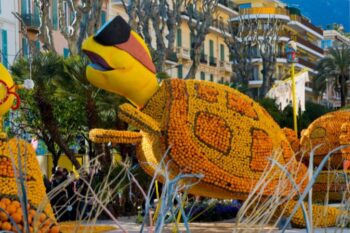 turtle made of lemons and oranges