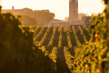 saint emilion winery