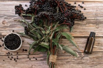 elderberries