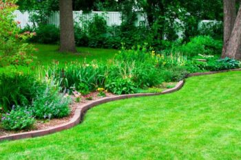 lawn