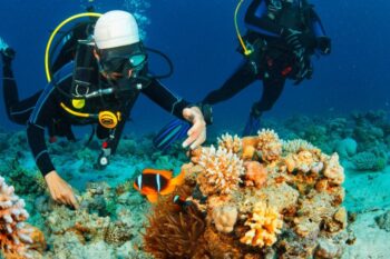scuba diving