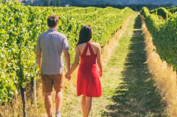 vineyard tour